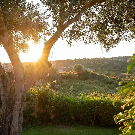 Pogelia By Klodge Vila Porto San Paolo (Sardinia)