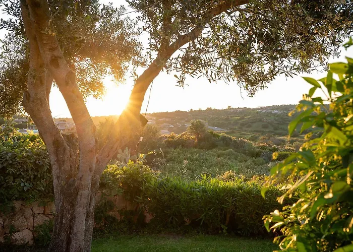 Pogelia By Klodge Villa Porto San Paolo